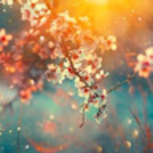 Meet your Posher, Minji